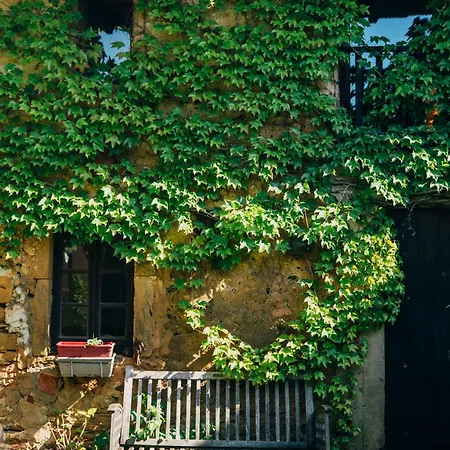 בית נופש Pause Sur La Colline Saint-Romain-de-Surieu