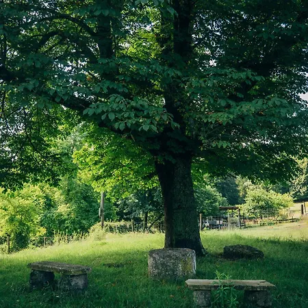 Pause Sur La Colline *