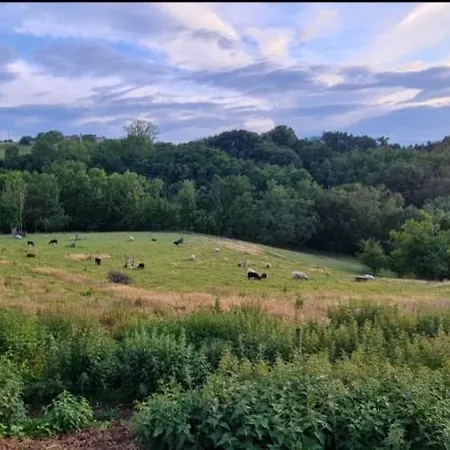 Pause Sur La Colline * Saint-Romain-de-Surieu