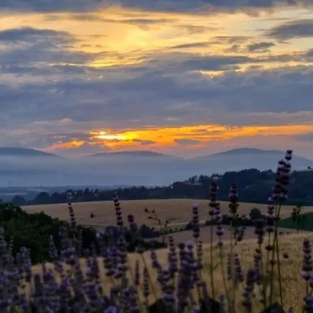 Holiday home Pause Sur La Colline
