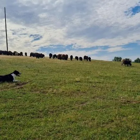 Pause Sur La Colline *