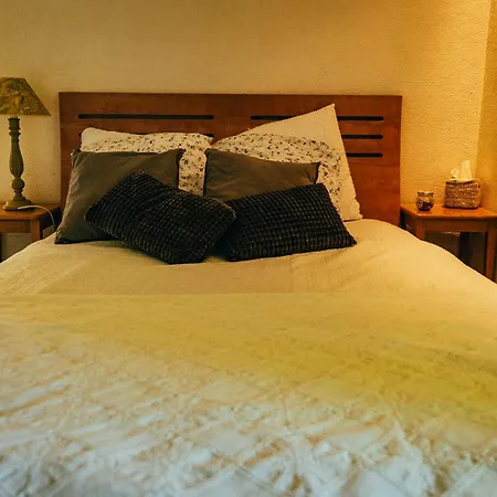 Holiday home Pause Sur La Colline Saint-Romain-de-Surieu