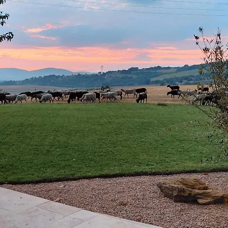 Pause Sur La Colline Holiday home