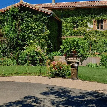 Pause Sur La Colline