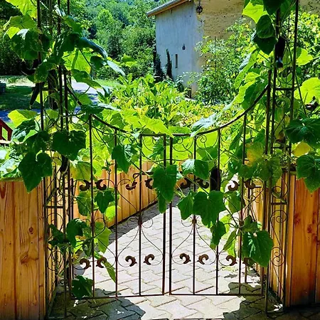 Pause Sur La Colline * Saint-Romain-de-Surieu