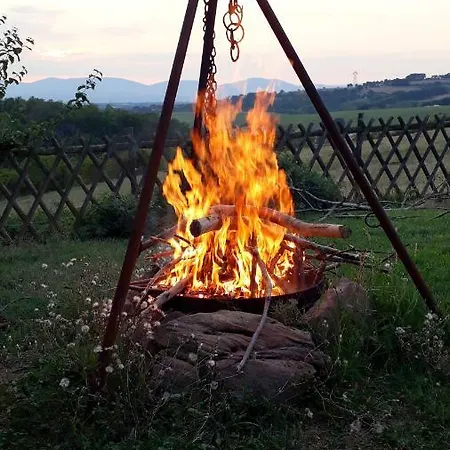Holiday home Pause Sur La Colline Saint-Romain-de-Surieu